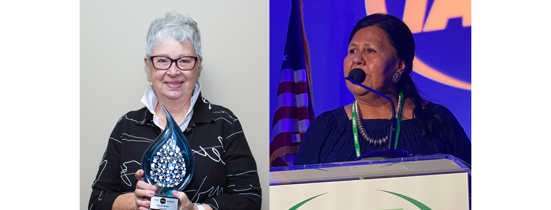 2023 IWSH Awards Recognize Exceptional Volunteers