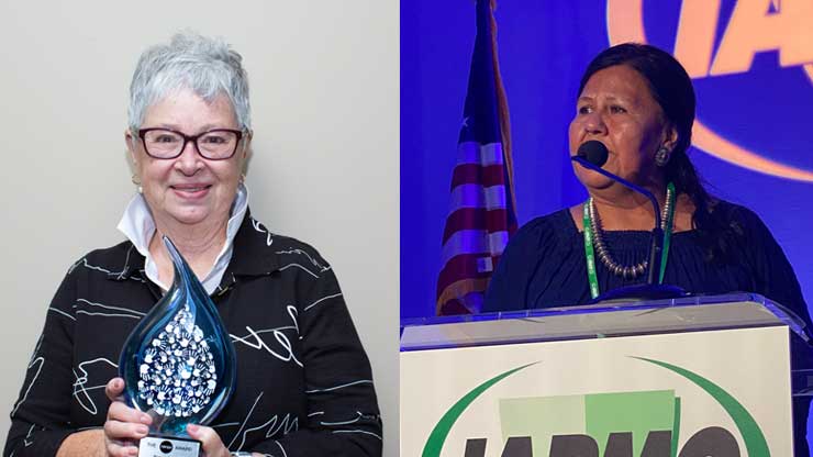 2023 IWSH Awards Recognize Exceptional Volunteers