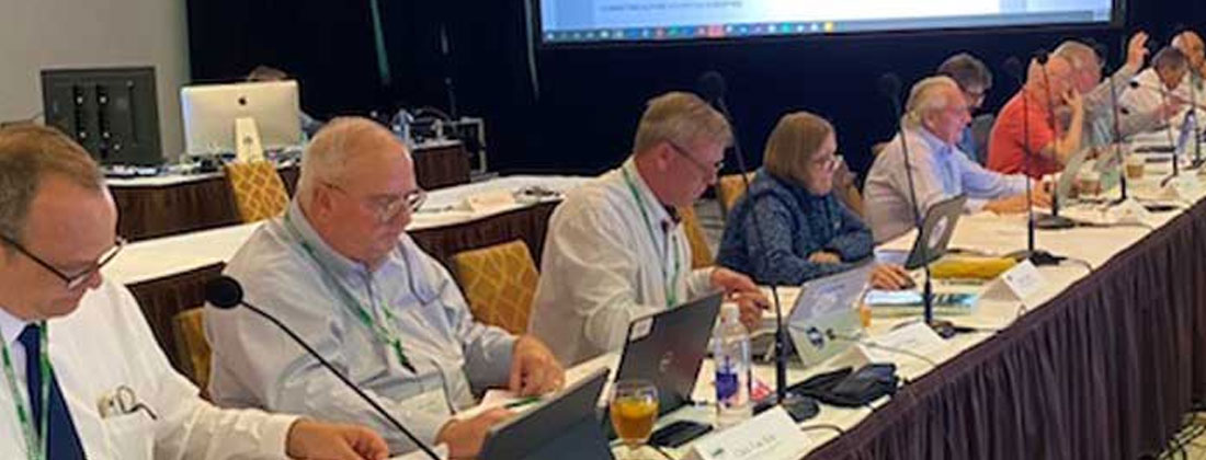 IAPMO Forming Hydrogen Fuel Gas Piping Task Group